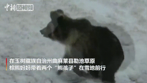 這輩子一定要去趟這個公園 在這裡“有種愛叫放手” 這輩子一定要去趟這個公園 在這裡“有種愛叫放手”