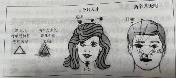 兩歲半的孩子還認生?與嬰兒認生期有關,怎樣幫孩子度過認生期 兩歲半的孩子還認生?與嬰兒認生期有關,怎樣幫孩子度過認生期