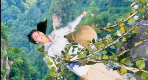 原來於正的這部劇那麼辣眼，杜淳挑染黑成煤球，毛曉彤全身芭比粉