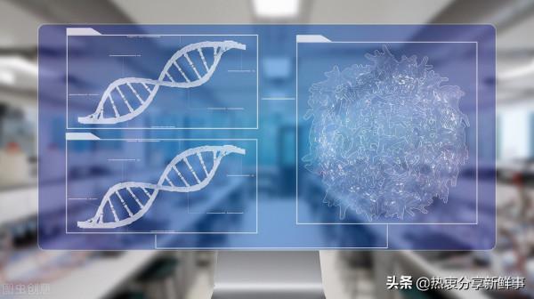 人類多樣性的基準是基於一個人的基因組 人類多樣性的基準是基於一個人的基因組