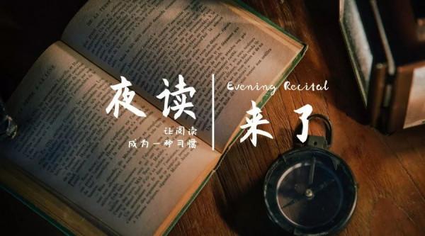 夜讀 | 漫談賞花和玩貓 夜讀 | 漫談賞花和玩貓