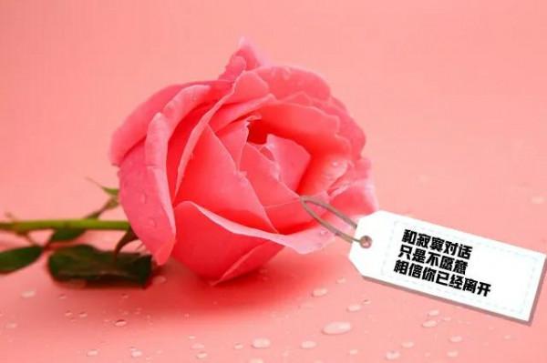 什麼樣的健身有益於身心健康 什麼樣的健身有益於身心健康