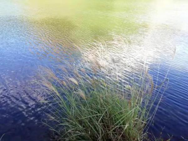 戀上這座山之四：一池秀水入眸中