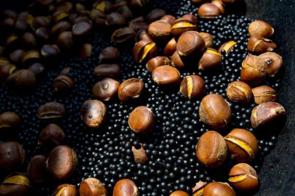 濃濃鄉村情，不捨三農人