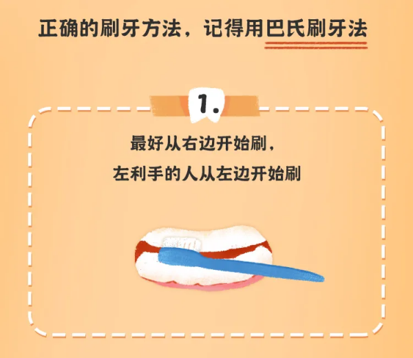 《最全兒童牙齒髮育時間表》來了!家長一定要了解 《最全兒童牙齒髮育時間表》來了!家長一定要了解
