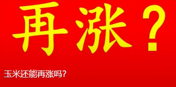一天漲了90元！關內猛漲，東北啥時候漲？
