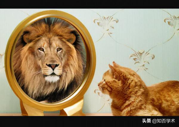 最新科學揭秘：人為什麼自欺欺人？