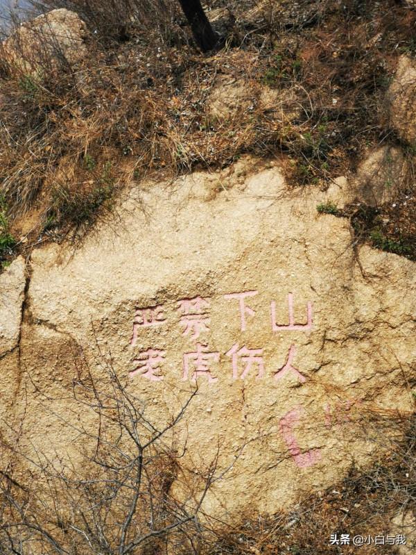 春回古長城，夢在杏花海。望殘垣斷壁，聽虎嘯聲威