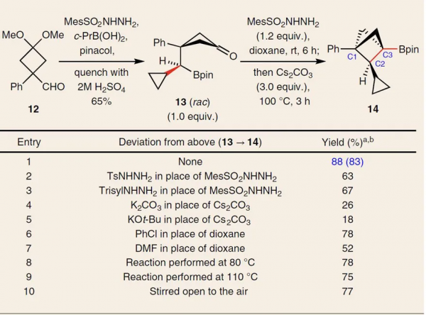 遇水架橋—分子內偶聯合成多取代雙環烷基硼酸酯