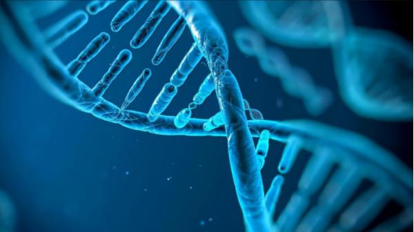 日本人是中國漢族的後代?古DNA研究給出了案,他們要來尋根了? 日本人是中國漢族的後代?古DNA研究給出了案,他們要來尋根了?