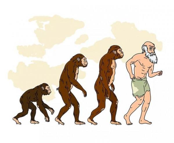 連猩猩都打不過，人類這麼弱，人類祖先是怎麼活下來的？