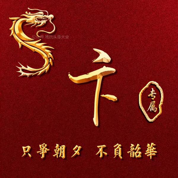 200張正能量姓氏頭像，張張精品，只爭朝夕 不負韶華