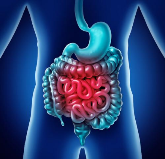 血脂高的人需注意，這種粗糧儘量少吃，或會對身體不利