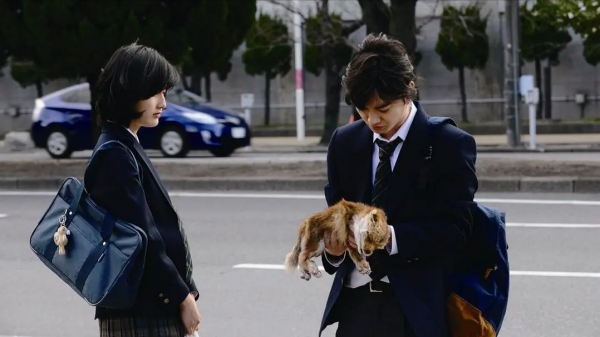 《寄生獸》：當人類以外的動植物擁有力量時，誰才能主宰生命？