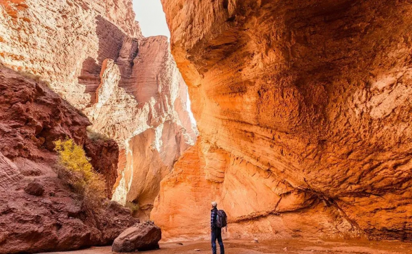 新疆，匯聚了中國大半個秋色