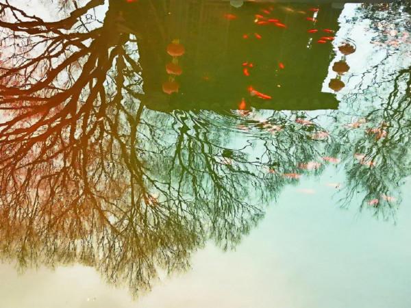 這首秋日宋詞，全詞沒有一個“思”字，卻句句是“思”