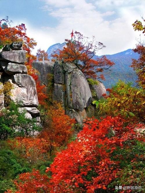 隨筆散文《重陽談愛老》