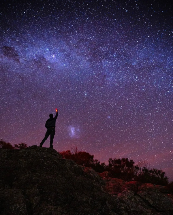 澳洲小哥靠一組照片成為“年度網紅”:絕了,每隻動物都會笑? 澳洲小哥靠一組照片成為“年度網紅”:絕了,每隻動物都會笑?