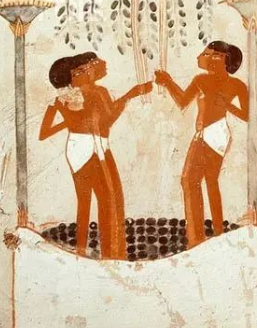 圖坦卡蒙的墓中發現6個酒罐,上面寫有二十三個字,是什麼意思呢 圖坦卡蒙的墓中發現6個酒罐,上面寫有二十三個字,是什麼意思呢