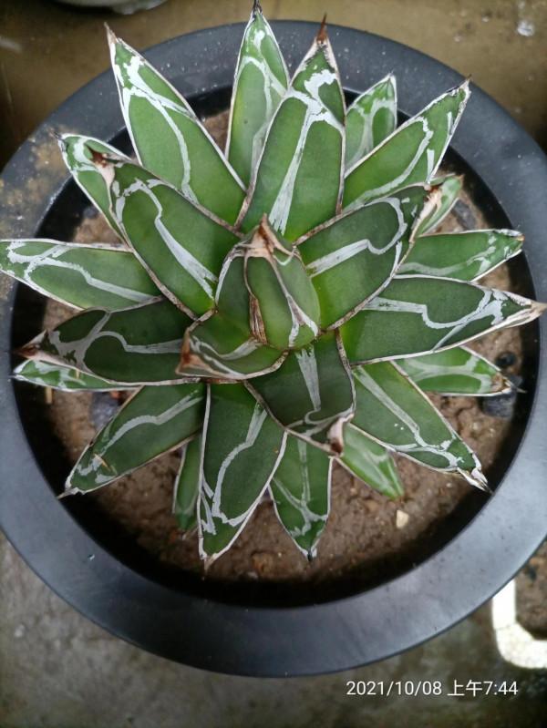 生活隨筆記,快樂每一天 生活隨筆記,快樂每一天