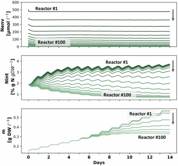 河口海藻養殖場可顯著降低氮濃度並防止環境汙染