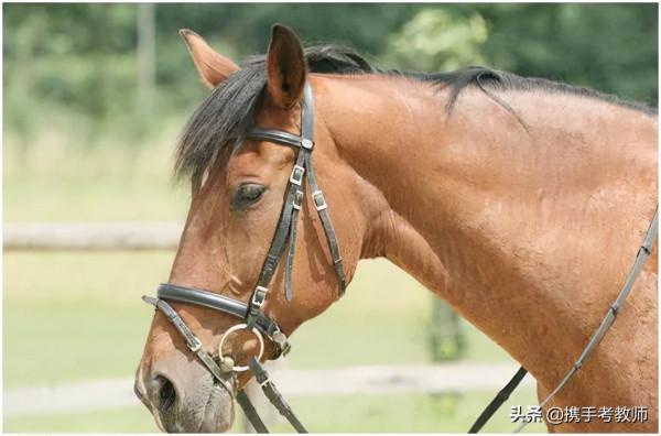 “鞥”怎麼讀？