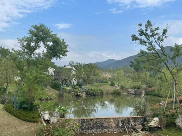 江蘇最漂亮的民宿一條街，漂亮，你去過嗎，每個月必去一次