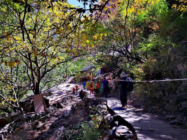 梅里雪山腳的世外桃源雨崩之旅第五天一一尼農峽谷 梅里雪山腳的世外桃源雨崩之旅第五天一一尼農峽谷