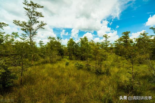 民間故事：老人打獵無果，回家把獵槍指向孫子，終沒躲過因果迴圈