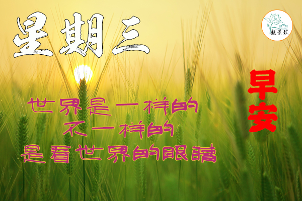 2022年2月16日 新聞簡報，工作愉快