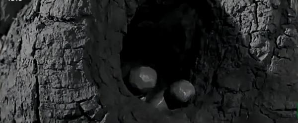 這個號稱世界最平等的國家，底層的黑暗面，被這本書道盡了