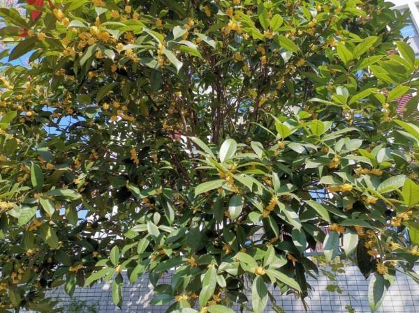 人生現階段寫實之七言絕句《千里一嘆》，有感同身受的嗎？