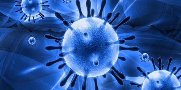 蝙蝠攜帶傳染病毒，為啥不能讓它滅絕，科學家：後果可能與之相反