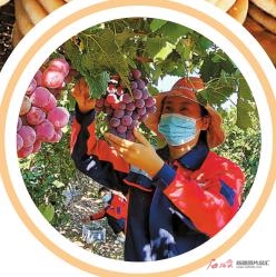 這一年,新疆脫貧攻堅取得決定性勝利 這一年,新疆脫貧攻堅取得決定性勝利