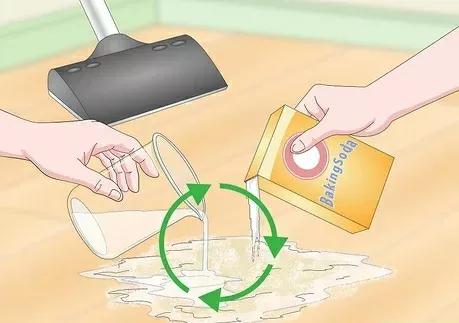 如何清除貓尿產生的汙漬