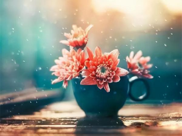 生活中最愛講髒話的十二星座 生活中最愛講髒話的十二星座