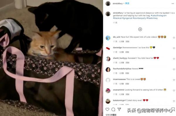 貓朋友要被鄰居送進收容所震驚了網友,她這樣霸氣回應 貓朋友要被鄰居送進收容所震驚了網友,她這樣霸氣回應