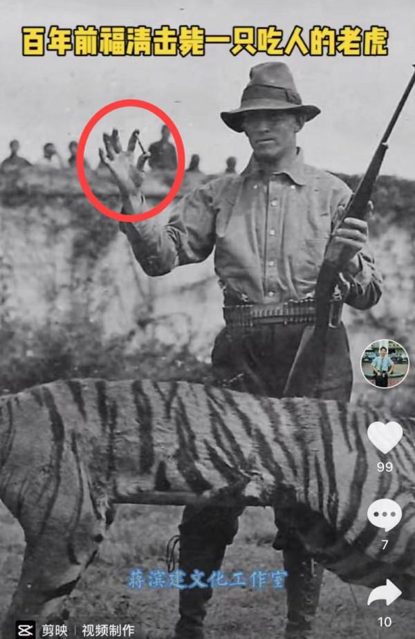 福州一隻“老虎”!藏在哈佛大學圖書館…… 福州一隻“老虎”!藏在哈佛大學圖書館……