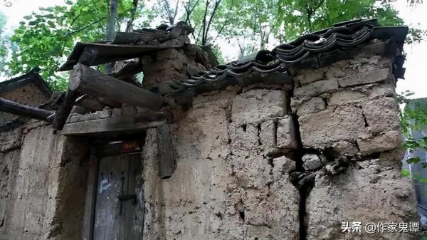 王志英｜我與“新”宅的故事