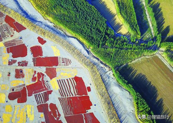 紅辣椒王國——焉耆盆地,這裡是新疆最大的紅辣椒生產基地 紅辣椒王國——焉耆盆地,這裡是新疆最大的紅辣椒生產基地