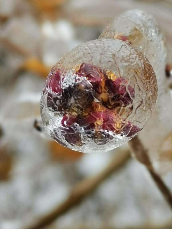 最賦有想向力的“藝術品” 最賦有想向力的“藝術品”