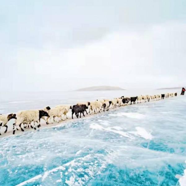 中國“藍冰”在哪裡？