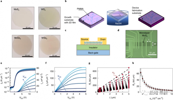 面向下一代晶片的二維場效應電晶體