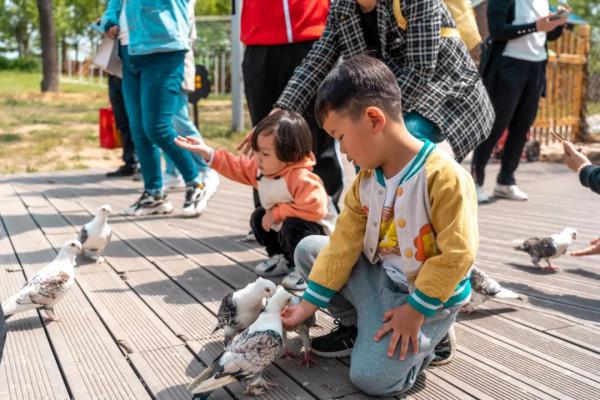 中秋遊玩寶典來襲！快來體驗園博園的中秋假日範兒