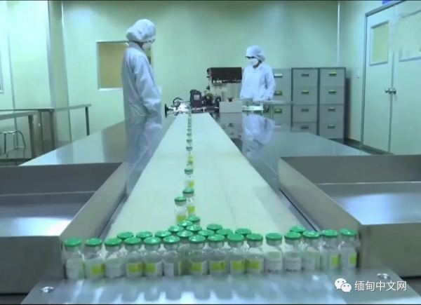 緬甸新冠疫苗不再只靠外國，現在可以自己生產了
