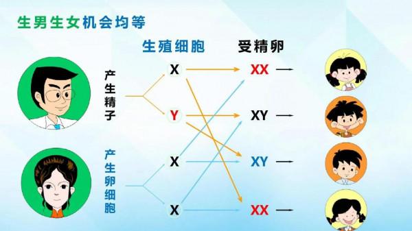 “希望眼睛能像爸爸的多眼皮,生完一看,完蛋,內雙腫眼泡兒。” “希望眼睛能像爸爸的多眼皮,生完一看,完蛋,內雙腫眼泡兒。”