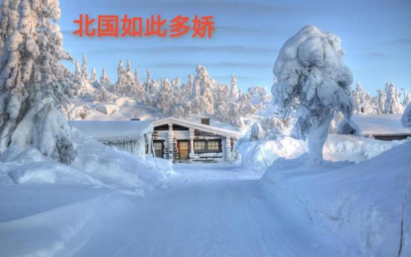 司馬南出生於東北，東北的雪景實在是美