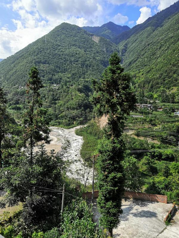 我要如何幫你,我的媽媽? 我要如何幫你,我的媽媽?