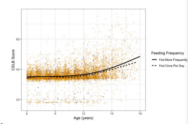 你的寵物狗喂對了嗎？研究發現，每天喂一次狗老來更健康
