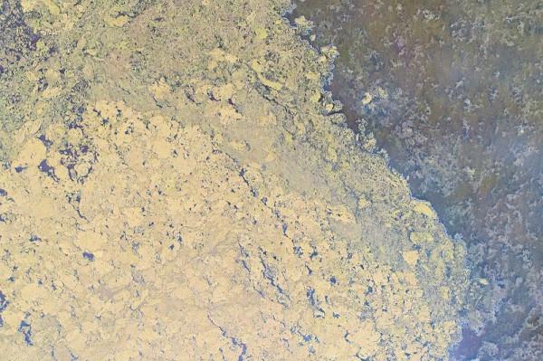 標緻4008環青海長測Day9：鳥島叫“蚊子島”，沿青海沿線達剛察！